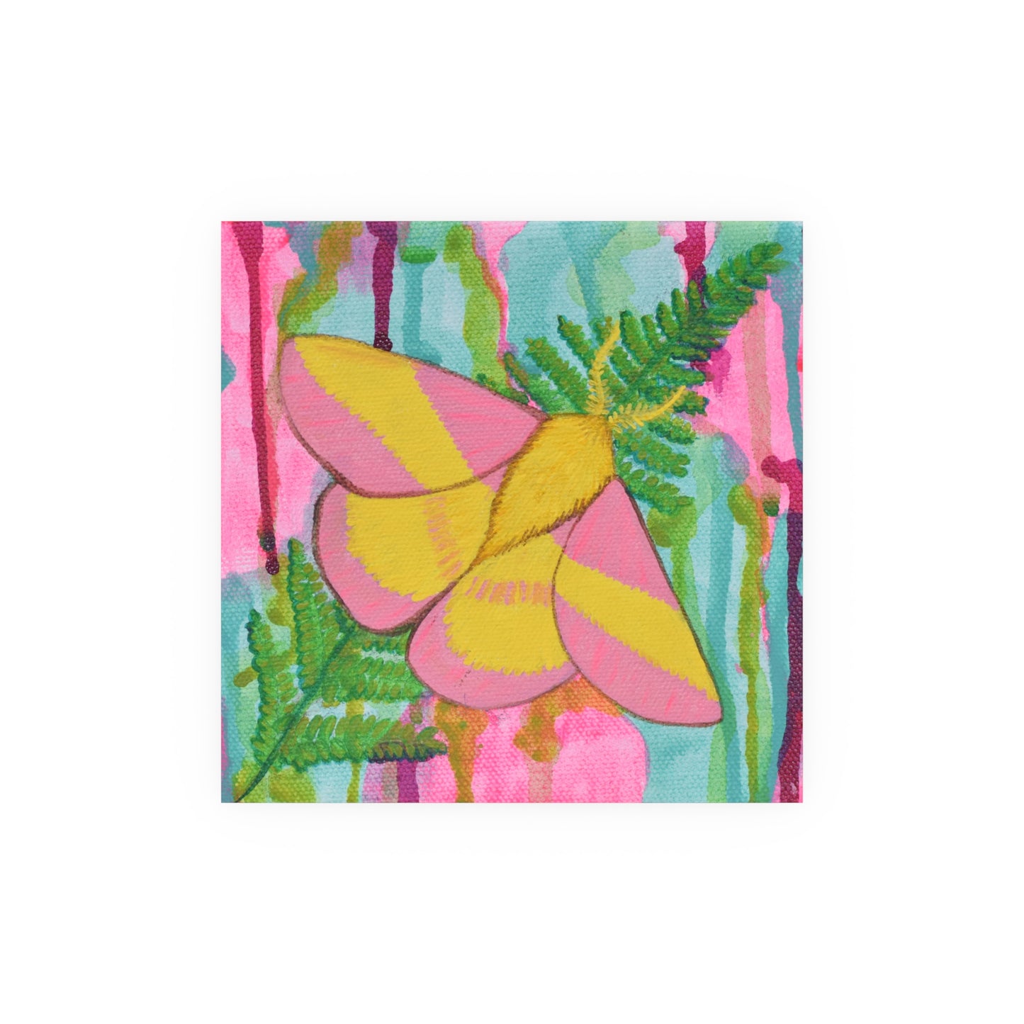 Rosy Maple Moth, Archival Poster
