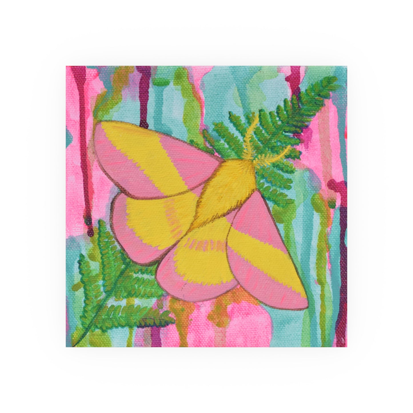 Rosy Maple Moth, Archival Poster