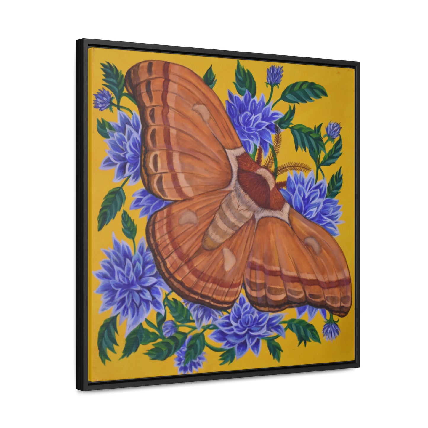 Gypsy Moth, Framed Canvas