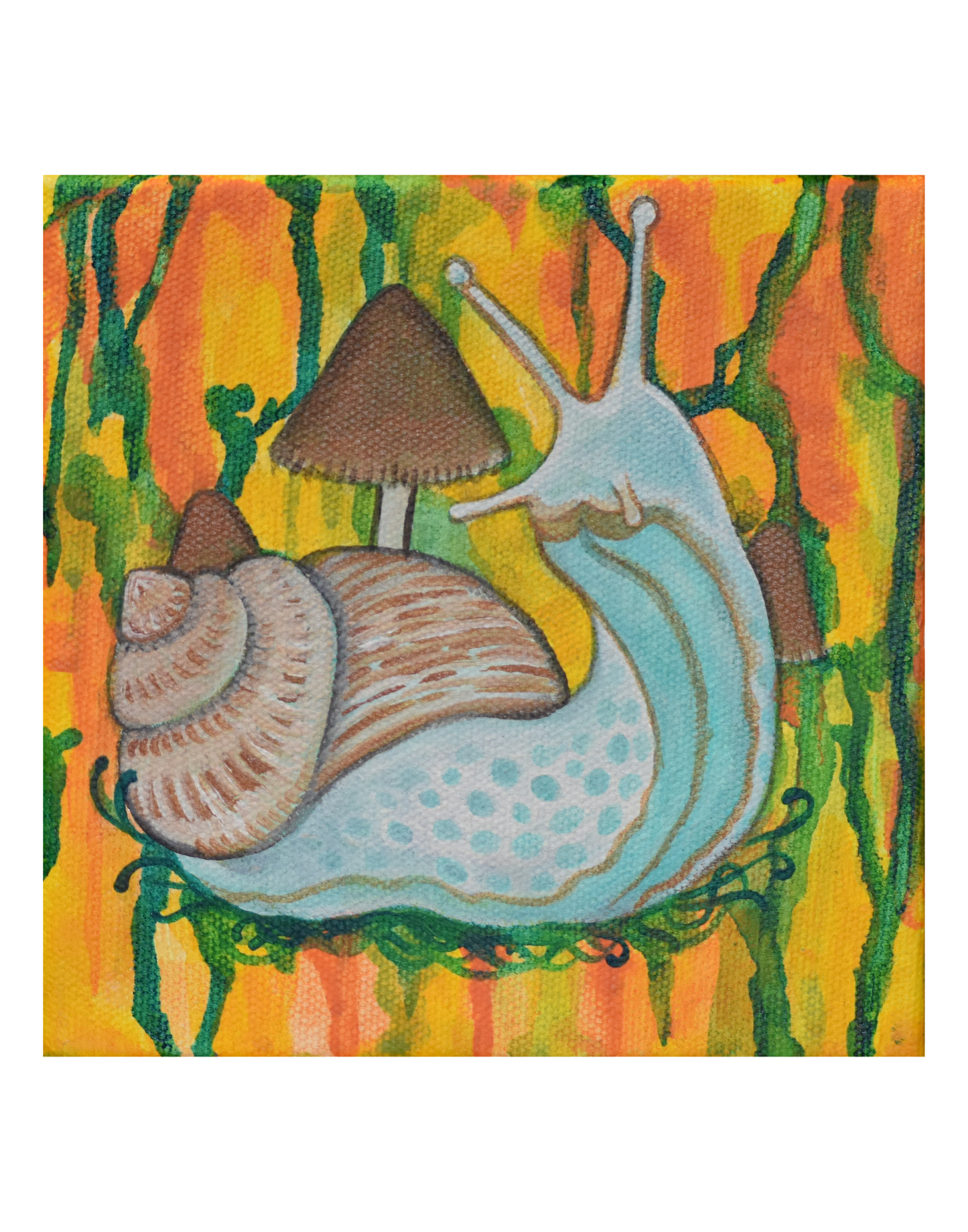 Snail & Mushrooms