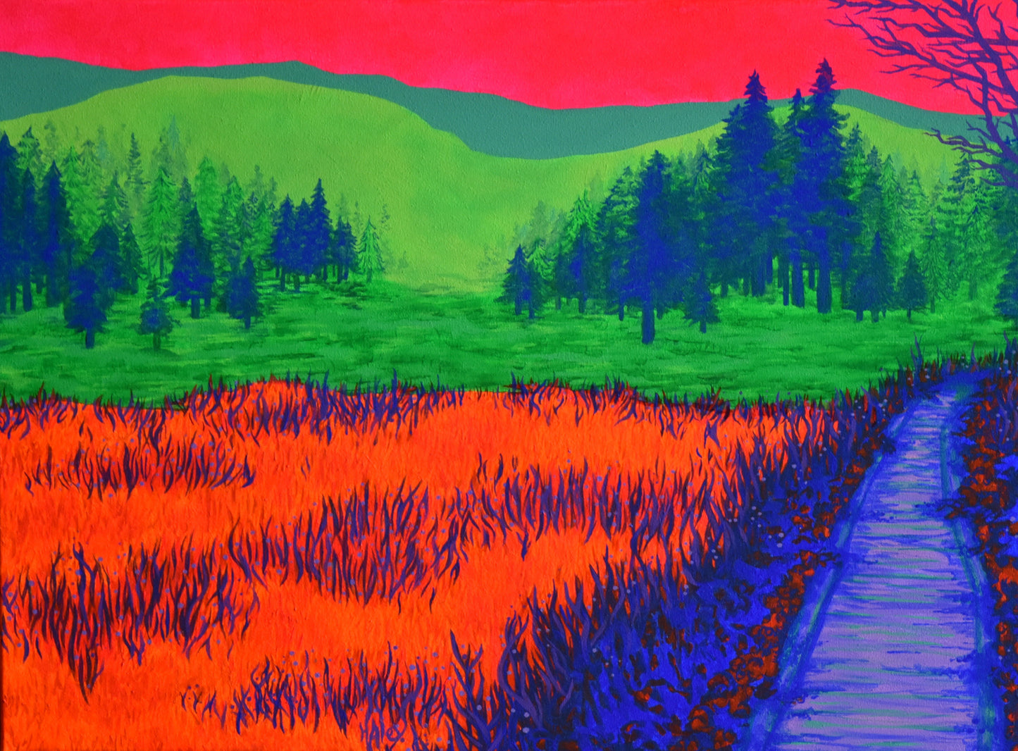 Cranberry Glades, WV