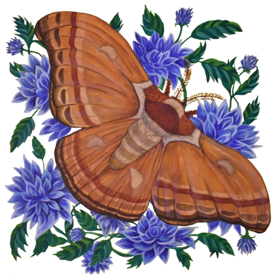 Gypsy Moth Merch Art by Haley M. Fairchild