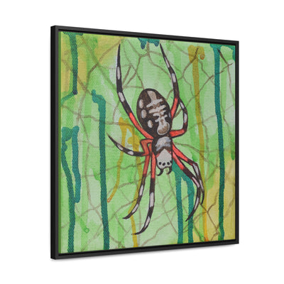 Orb Weaver, Framed Canvas
