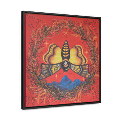 Death's Head Hawkmoth, Framed Canvas