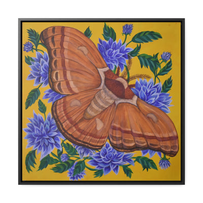 Gypsy Moth, Framed Canvas