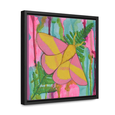 Rosy Maple Moth, Framed Canvas