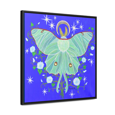 Luna Moth, Framed Canvas