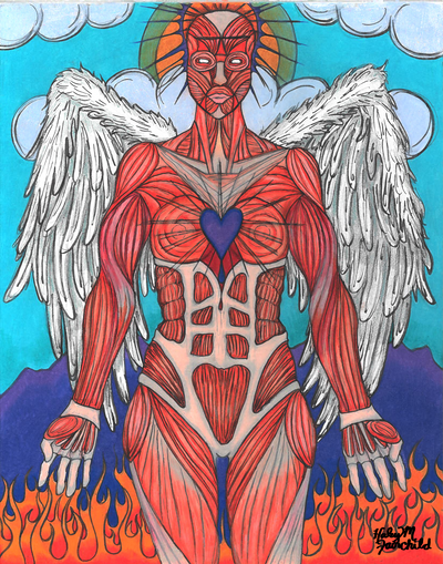 Anatomia