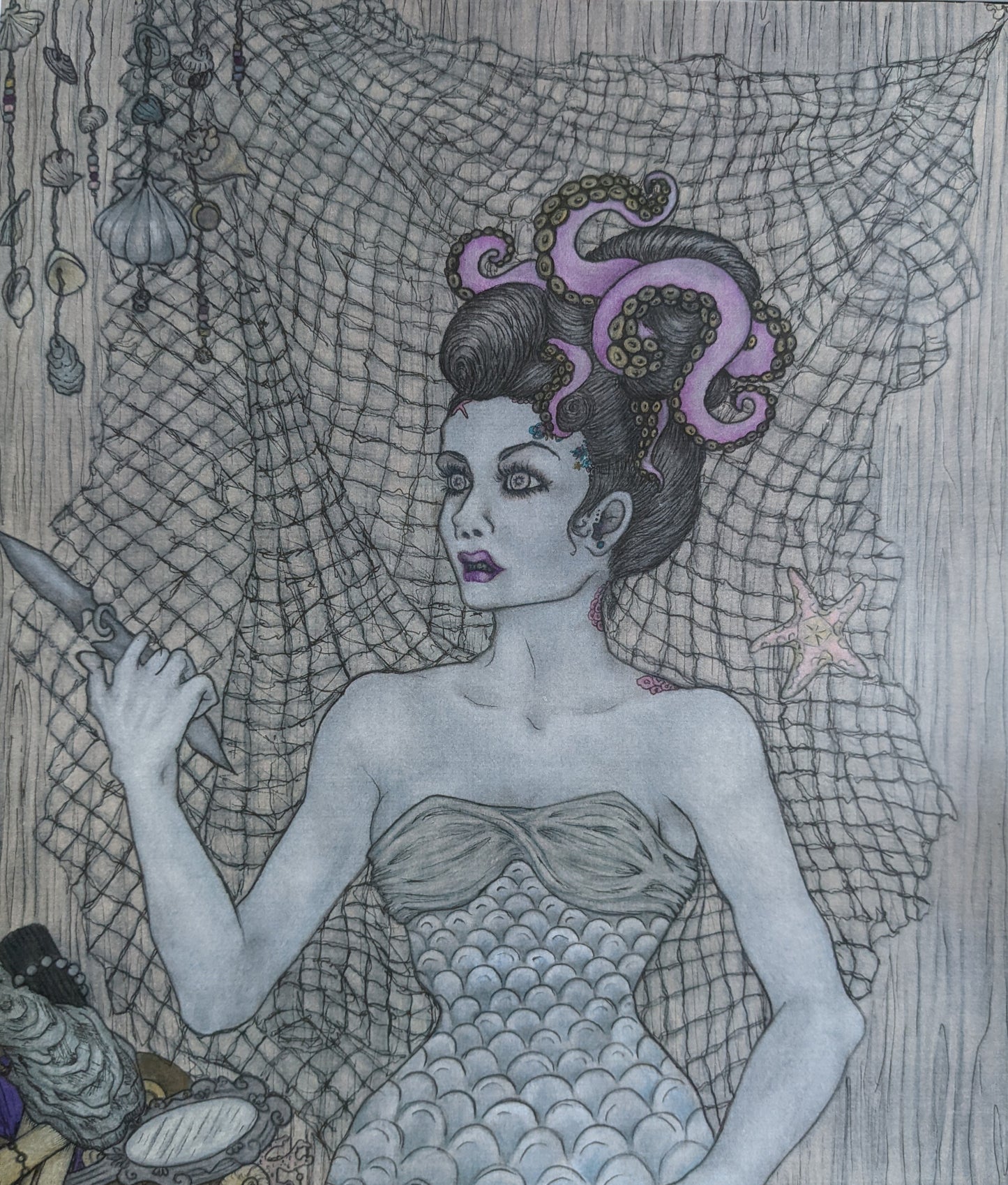 Urchin, Sea Hag