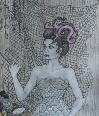 Urchin, Sea Hag